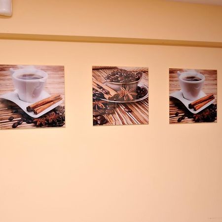 Pokoje I Apartamenty Iwona チェホチネク エクステリア 写真