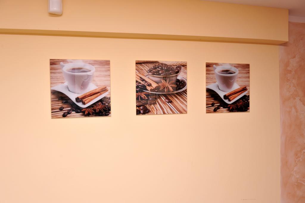 Pokoje I Apartamenty Iwona チェホチネク エクステリア 写真